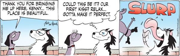 Dogs of C-Kennel for 4/4/2026