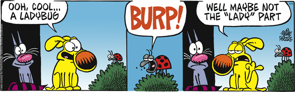 Mother Goose and Grimm for 4/8/2026