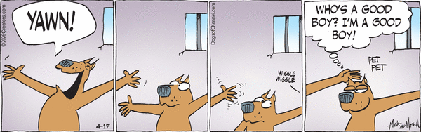 Dogs of C-Kennel for 4/17/2026