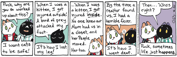 Breaking Cat News for 4/21/2026