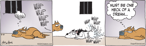 Dogs of C-Kennel for 5/6/2026