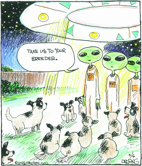 Strange Brew for 5/6/2026