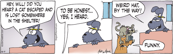 Dogs of C-Kennel for 5/7/2026