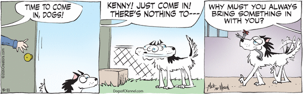Dogs of C-Kennel for 5/11/2026