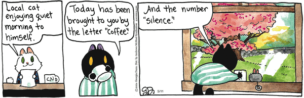 Breaking Cat News for 5/11/2026