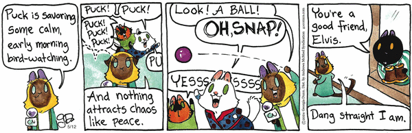 Breaking Cat News for 5/12/2026