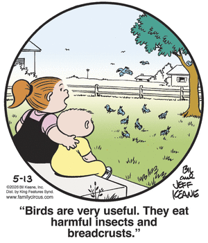 Family Circus for 5/13/2026