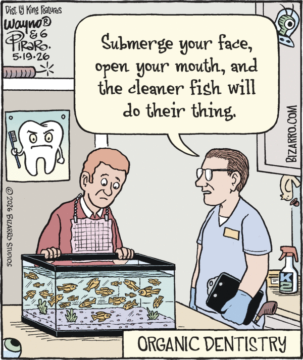 Bizarro for 5/19/2026