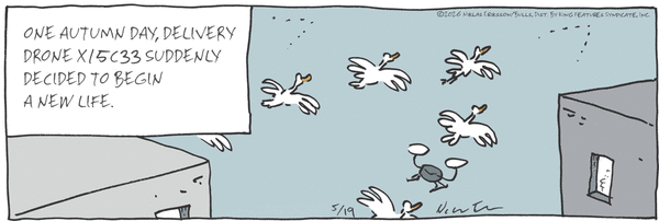 Carpe Diem for 5/19/2026