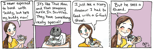 Breaking Cat News for 6/5/2026