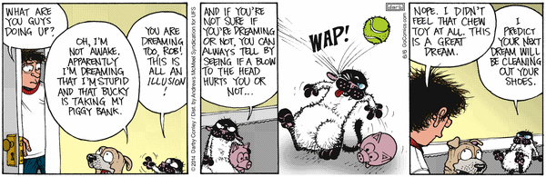 Get Fuzzy for 6/6/2026