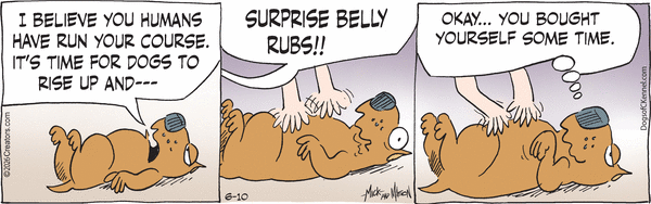 Dogs of C-Kennel for 6/10/2026