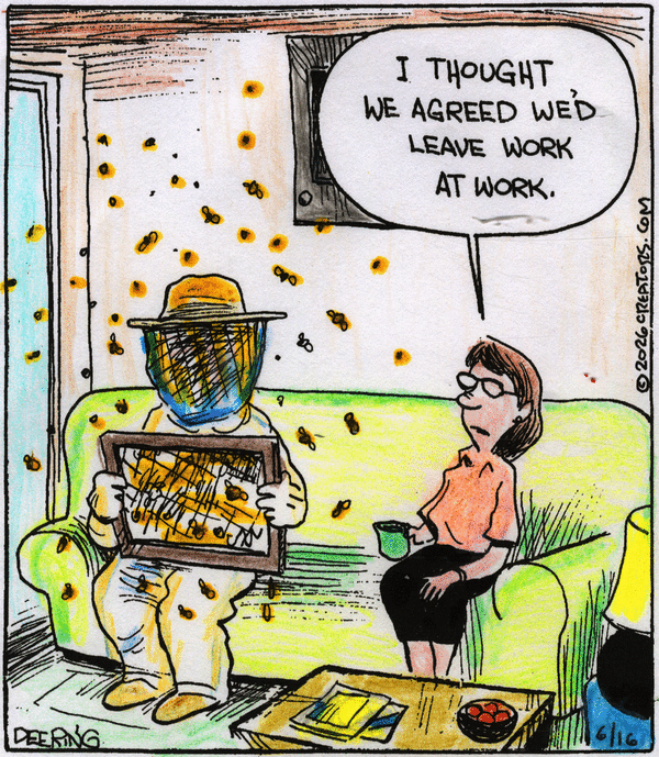 Strange Brew for 6/16/2026