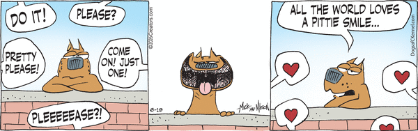 Dogs of C-Kennel for 6/19/2026