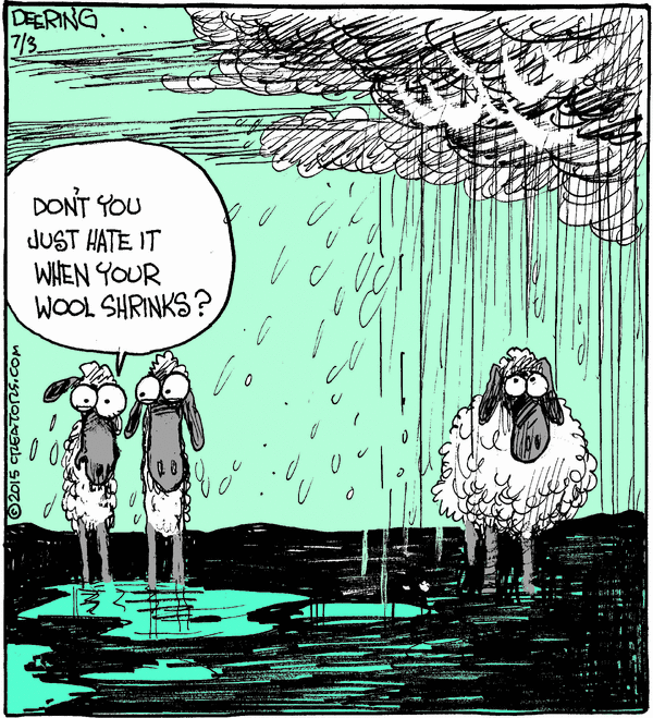 Strange Brew for 7/3/2026