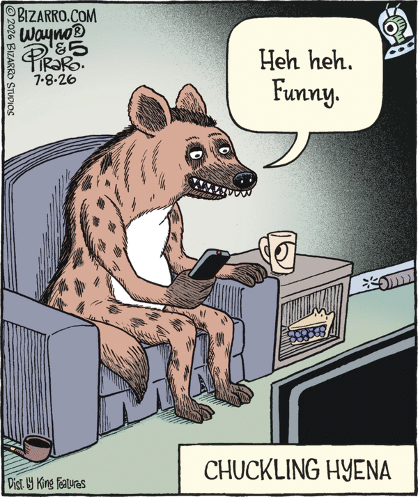 Bizarro for 7/8/2026