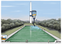 Green Algae In Lincoln Memorial Reflecting Pool