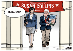 Graham Platner Does Not Faze Senator Collins