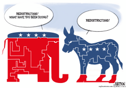 Partisan Redistricting Redraws Party Symbols