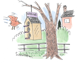 For The Birds