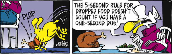Mother Goose and Grimm for 7/17/2026