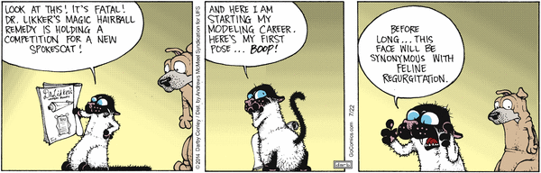 Get Fuzzy for 7/22/2026
