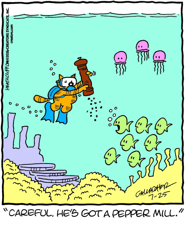 Heathcliff for 7/25/2026