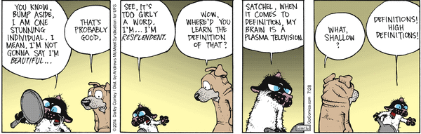 Get Fuzzy for 7/28/2026