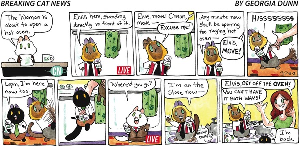 Breaking Cat News for 8/2/2026