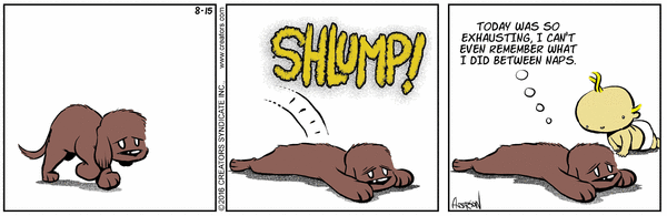 Dog Eat Doug for 8/15/2026