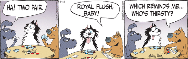 Dogs of C-Kennel for 8/15/2026