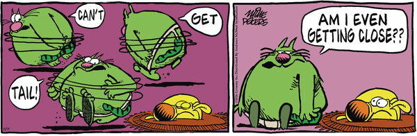 Mother Goose and Grimm for 8/19/2026