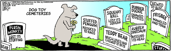 The Other Coast for 8/20/2026