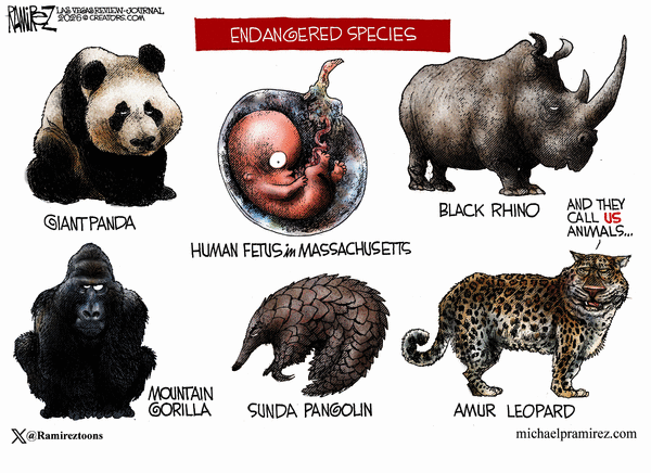 Michael Ramirez for 8/20/2026