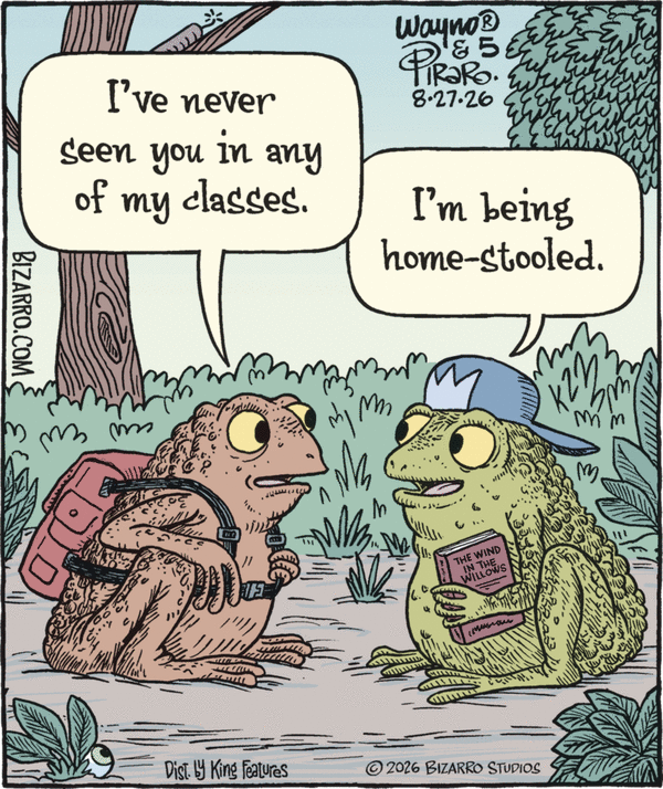Bizarro for 8/27/2026