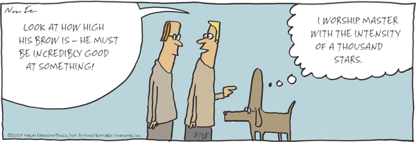 Carpe Diem for 8/28/2026