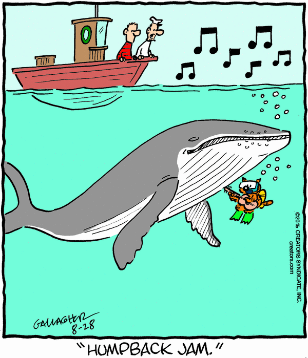 Heathcliff for 8/28/2026