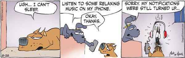 Dogs of C-Kennel for 8/28/2026