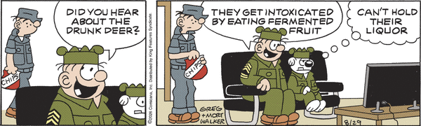Beetle Bailey for 8/29/2026