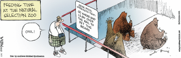 Non Sequitur 9/3/2026