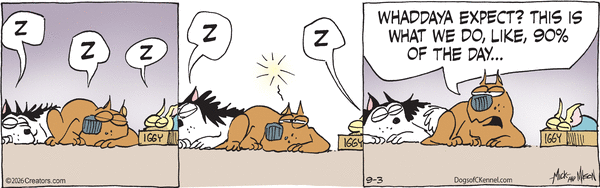 Dogs of C-Kennel for 9/3/2026