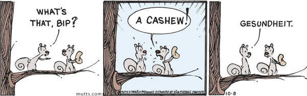 Mutts for 10/8/2026