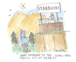 Starbucks Displaces Mountain Guru