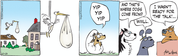 Dogs of C-Kennel for 10/13/2026