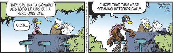 Shoe for 10/26/2026