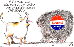 Dog Questions Porcupine Voter Choice