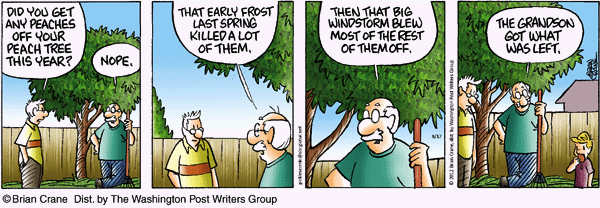 Pickles for 8/17/2012