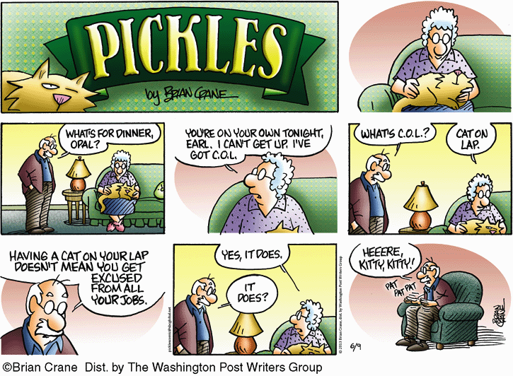 Pickles for 6/9/2013 Pickles Comics ArcaMax Publishing
