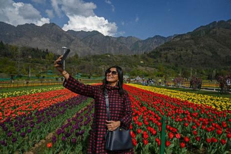 TAUSEEF MUSTAFA/AFP // Getty Images