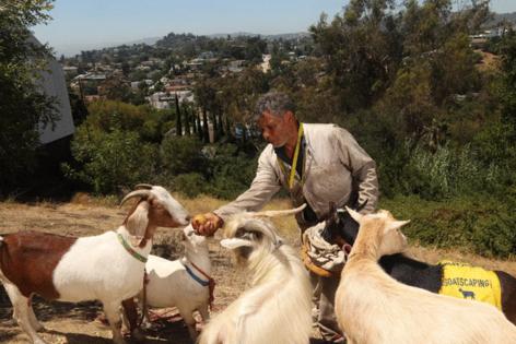 Michael Blackshire/Los Angeles Times/TNS